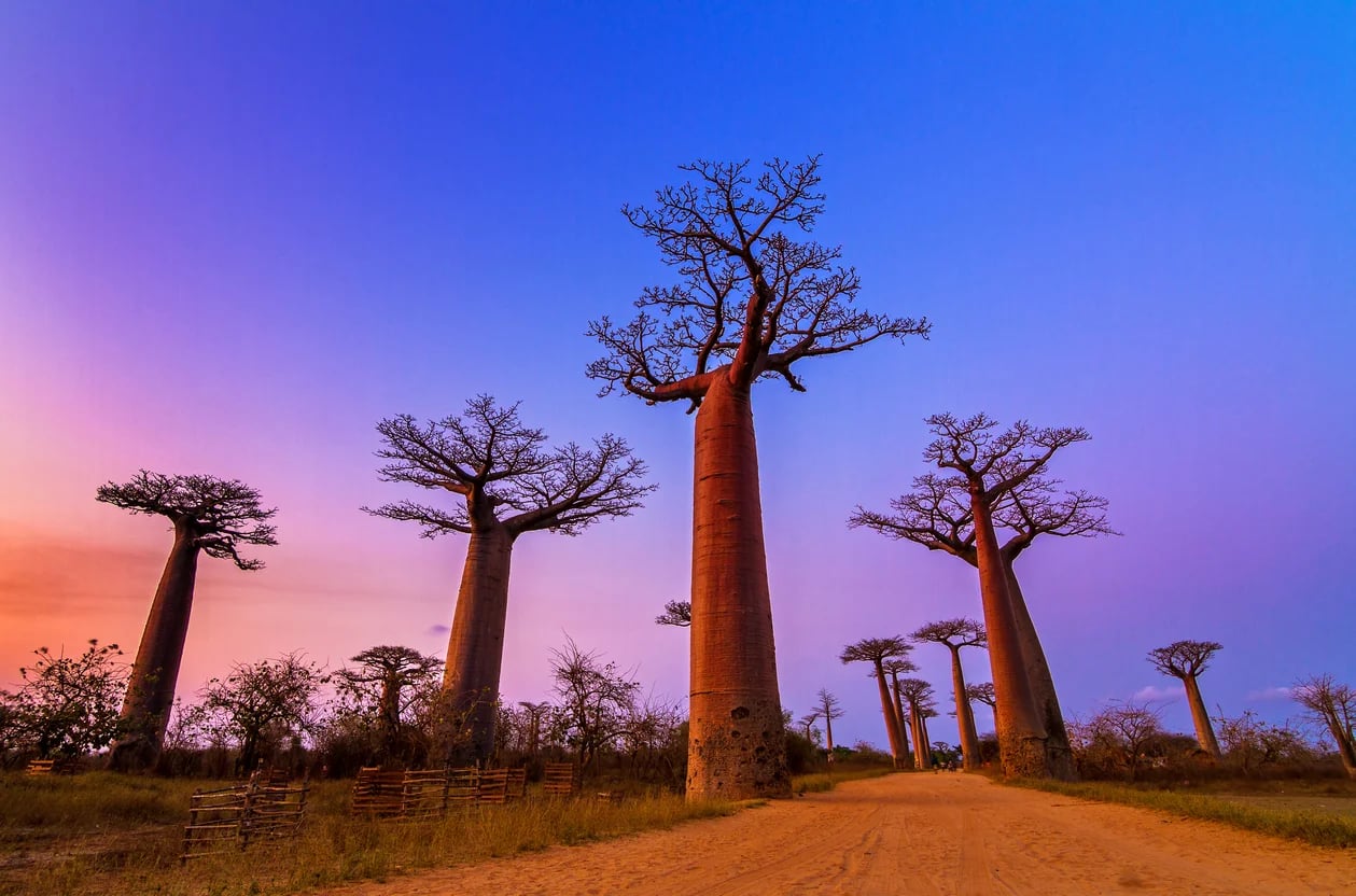 Places in Madagascar: Best Destinations to Visit on the Big Island of Africa