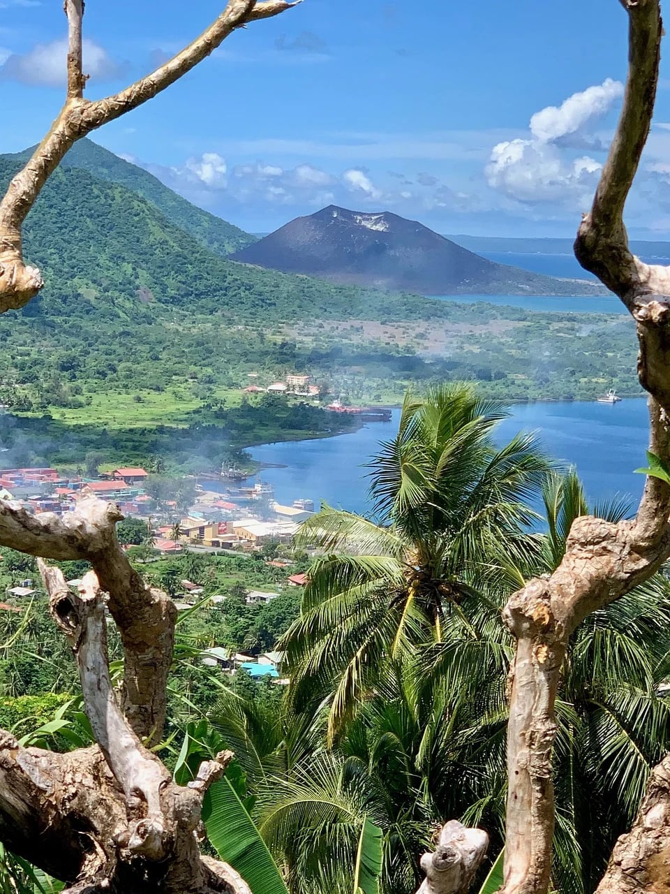 Best Rainforests in the World You Need to Explore